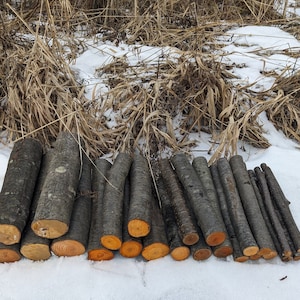 May include: A pile of stacked firewood logs with the ends cut and showing the orange wood grain. The logs are arranged in a row on a snowy surface.