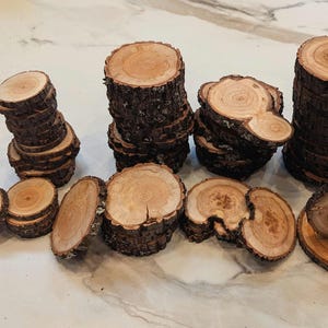 Willow Wood Slices - Natural