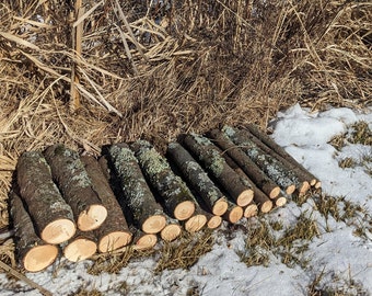 Spruce Stick & Mini Logs