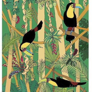 Toucans by Claire Astigarraga