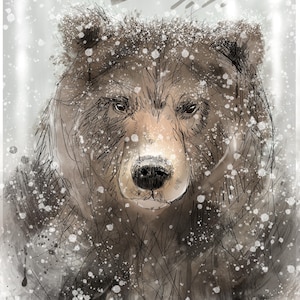 Ours rêve by Marcelle Panthère