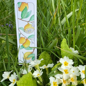 Marque-page Citronnier by Edith Timmerman