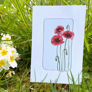 Coquelicot by Edith Timmerman