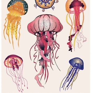 Méduses by Claire Astigarraga