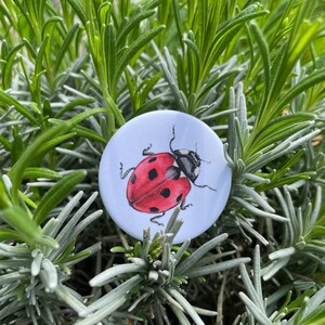 Badge Coccinelle by Edith Timmerman