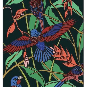 Les perroquets by Claire Astigarraga