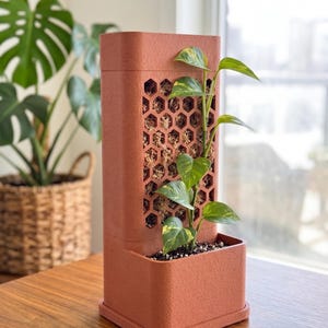 May include: A terracotta-coloured rectangular plant pot featuring a vertical moss pole attachment with a honeycomb-patterned lattice. A green and yellow variegated pothos vine grows upwards, supported by the moss-filled structure within the frame.