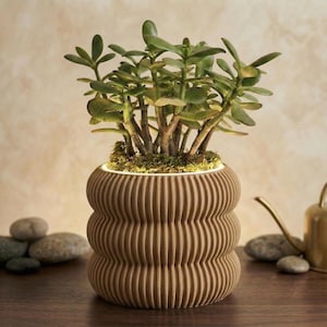 May include: A brown, ribbed ceramic planter with a jade plant. The planter has a unique, stacked design and is filled with soil and moss. The jade plant has thick, green leaves and brown stems. The planter is sitting on a wooden surface.