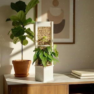 May include: A white, vertical planter with a geometric design, holding green plants and a brown, moss-like material. A potted plant with large green leaves sits to the left. A framed abstract art piece hangs in the background.