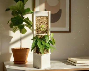 Architectural Honeycomb Moss Pole System | Modular White Aroid Support | Geometric Vertical Trellis