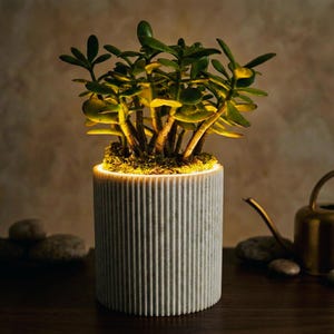 LED Plant Spotlight Ribbed Planter | Illuminated and Dimmable Display for Indoor Plants