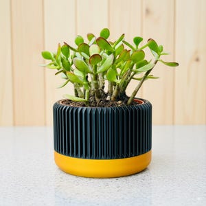 モダンなリブ付きプランター - 色をカスタマイズ