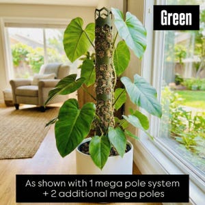 Mega Moss Pole System - Modular & Eco-Friendly - Expandable Plant Support for Thriving Indoor Gardens