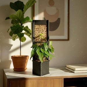 Architectural Honeycomb Moss Pole System | Modular Matte Black Aroid Support | Geometric Vertical Trellis