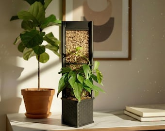 Architectural Honeycomb Moss Pole System | Modular Matte Black Aroid Support | Geometric Vertical Trellis