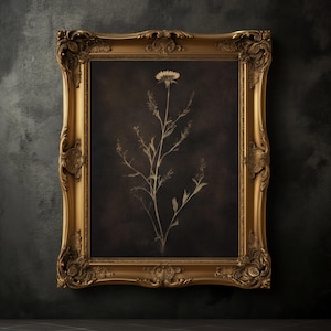 Moody Single Wildflower Print, Vintage Floral Poster, Dark Academia Print, Dark Aesthetics, Canola Wall Art, Antique Oil Painting, Farmhouse