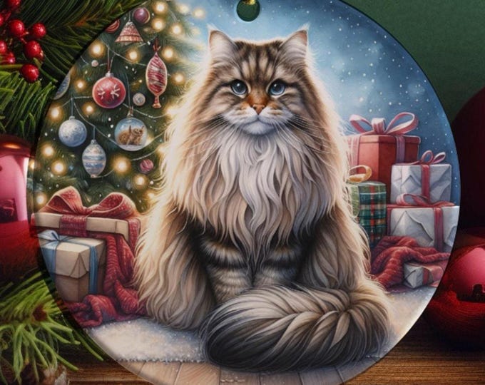 Tabby Cat Christmas Ornament, Ceramic Double-Sided Print Decoration & Gift Bag