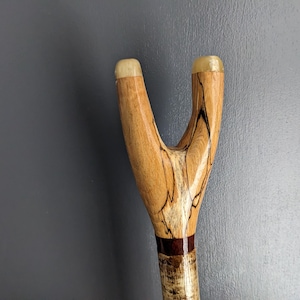 May include: A polished wooden walking stick handle featuring a natural Y-shaped fork design. The wood displays a light tan colour with prominent dark brown and black grain patterns throughout. A dark reddish-brown band separates the fork from the shaft.