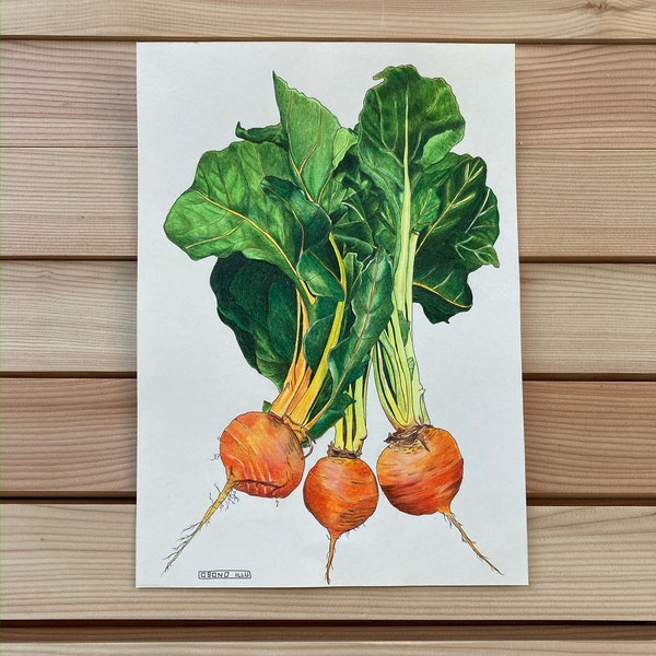 Botanische zeichnung - Etsy.de