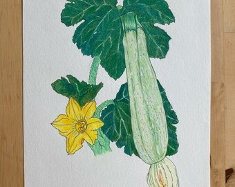 Zucchini, Illustration, Kunstdruck