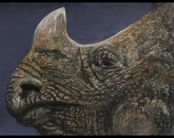 original pastel drawing of a a rhinoceros