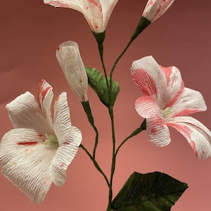Peut inclure: Un bouquet de fleurs en papier blanc avec des accents rouges. Les fleurs sont faites de papier froissé et ont un aspect délicat et fantaisiste. Les fleurs sont disposées dans un vase et sont prêtes à être exposées dans une maison ou un bureau.
