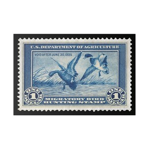 Official 1934 - 1935 Federal Duck Stamp - Canvas Sign