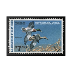 Official 1980 - 1981 Federal Duck Stamp - Canvas Sign