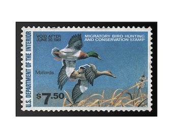 Official 1980 - 1981 Federal Duck Stamp - Canvas Sign