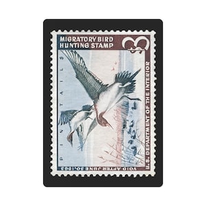 Naipes oficiales con sello de pato federal 1962 - 1963