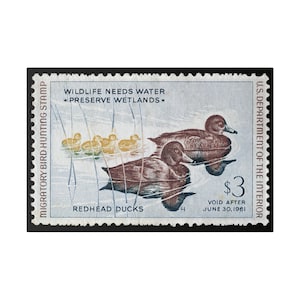Official 1960 - 1961 Federal Duck Stamp - Canvas Sign