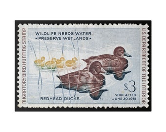 Official 1960 - 1961 Federal Duck Stamp - Canvas Sign