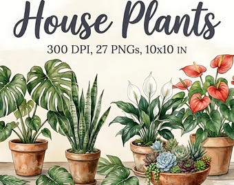 House Plants PNG Bundle Watercolor Indoor Plant Clipart Monstera Snake Plant Succulent Botanical Clipart 300 DPI Printable Instant Download