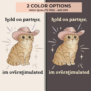 May include: Two-panel design featuring a cat wearing a pink cowboy hat. The cat has brown and tan stripes and is surrounded by starbursts. Text reads "hold on partner, I'm overstimulated" in a whimsical font. The background colors are light beige and dark gray.