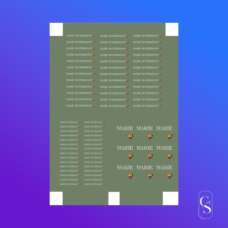 Name Stickers Individual With Name Stickers for Daycare, Gifts, Toys