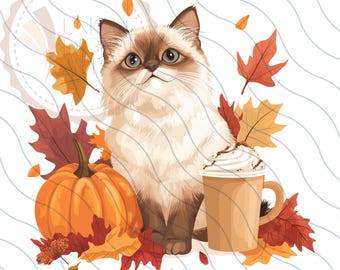 May include: A white cat with blue eyes sits next to a pumpkin and a cup of coffee with whipped cream. Autumn leaves are scattered around the cat, pumpkin, and coffee cup.