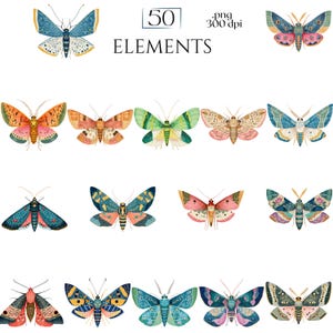 Moths Clipart, Colorful Moth Illustrations, Vintage Insect PNG Elements, Botanical Moth Graphics, Moth Scrapbook, Insect Crafts Junk Journal