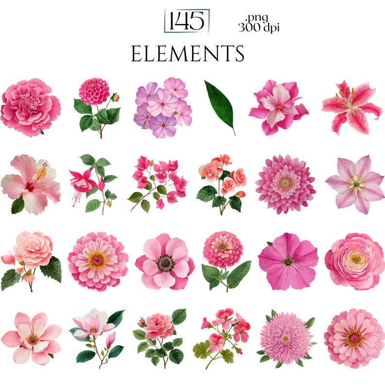 Pink Watercolor Flowers Clipart, Elegant Botanical PNG Bundle, Floral Illustrations for Wedding Invitations, Pinky Ephemera, Bloom Stickers