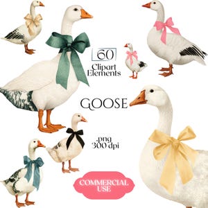 May include: A collection of watercolor goose clipart elements. The geese are white with orange beaks and feet, adorned with various colored bows. Text includes "60 Clipart Elements", "Goose", ".png 300 dpi", and "Commercial Use".