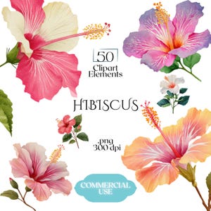 May include: Watercolor clipart elements featuring hibiscus flowers in various colors, including pink, peach, and purple. The image includes text that reads "50 Clipart Elements", "Hibiscus", ".png 300 dpi", and "Commercial Use".