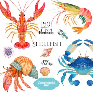 Puede incluir: Ilustraciones de acuarela de varios mariscos, incluyendo una langosta roja, un camarón, un cangrejo azul y un cangrejo ermitaño. La imagen también incluye una pequeña langosta, una concha y un erizo de mar. El texto dice "50 Clipart Elements" y "Shellfish".