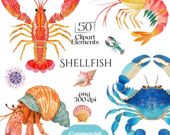 Shellfish Clipart, Crab Lobster Shrimp Oyster Seashell Illustration, Ocean Seafood PNG Elements for Crafts, Coastal Nautical Marine Graphics