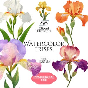 Könnte beinhalten: Aquarellillustration von Irisblüten in verschiedenen Farben, darunter Weiß, Gelb, Orange, Lila und Rosa. Das Bild enthält den Text "Watercolor Irises", "86 Clipart Elements" und "Commercial Use."