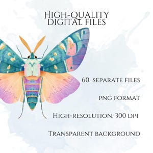 Pastel Moths Clipart, Watercolor Moth Illustrations, Colorful Moth PNG Graphics (60 Files, Transparent Background)