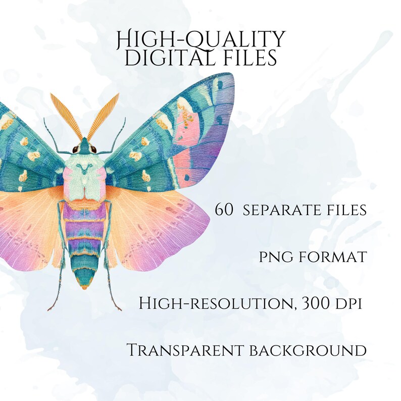 Pastel Moths Clipart, Watercolor Moth Illustrations, Colorful Moth PNG Graphics (60 Files, Transparent Background)