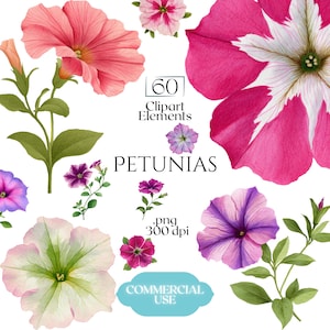 May include: A watercolour illustration featuring a collection of petunia flowers in pink, purple, and white, accompanied by green foliage. The image includes the text "60 Clipart Elements", "PETUNIAS", ".png 300 dpi", and "COMMERCIAL USE".