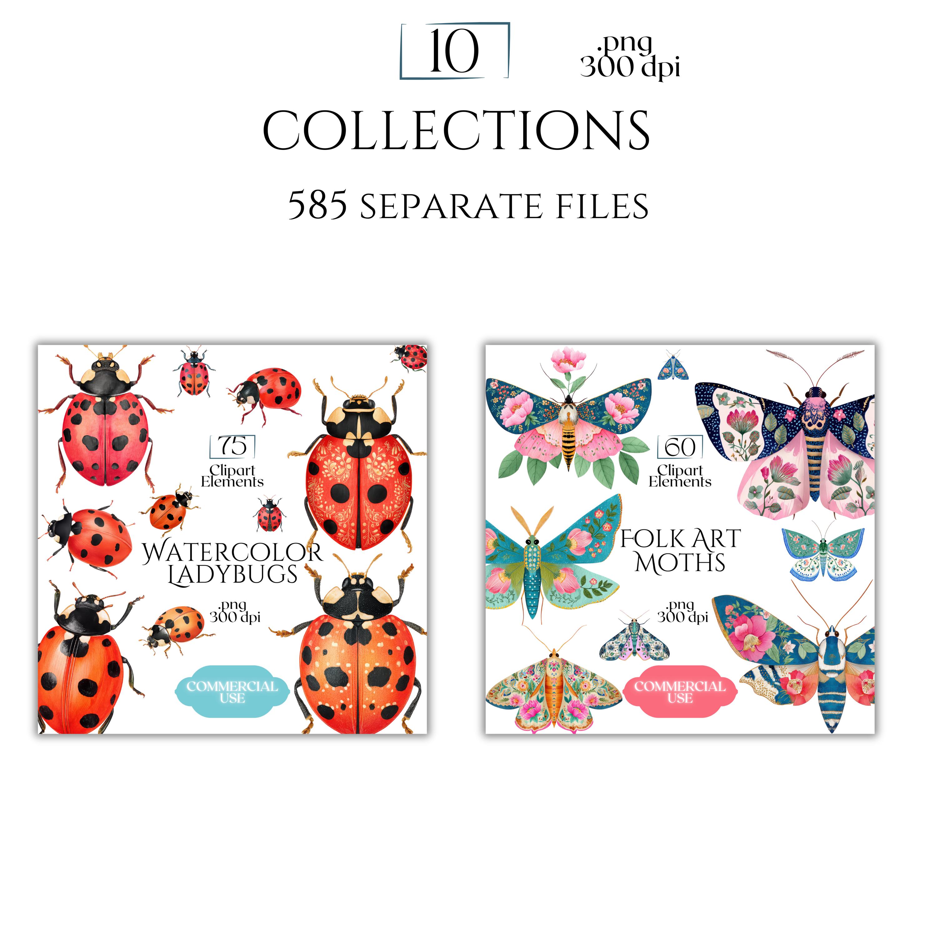 Insect Clipart Mega Bundle, Bug PNG Graphics, Butterfly Beetle Ant ...