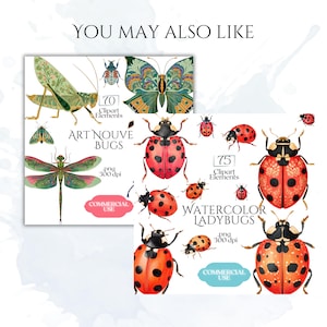 Folk Art Moths Clipart, Floral Moth PNG Illustrations, Decorative Botanical Insect Graphics (60 Files, Transparent Background)