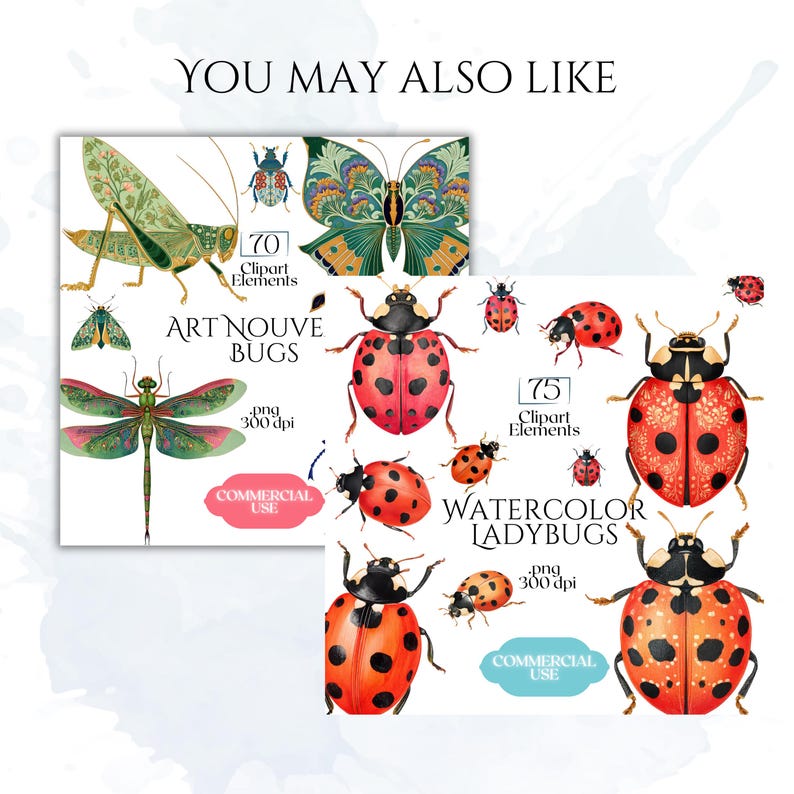 Folk Art Moths Clipart, Floral Moth PNG Illustrations, Decorative Botanical Insect Graphics (60 Files, Transparent Background)