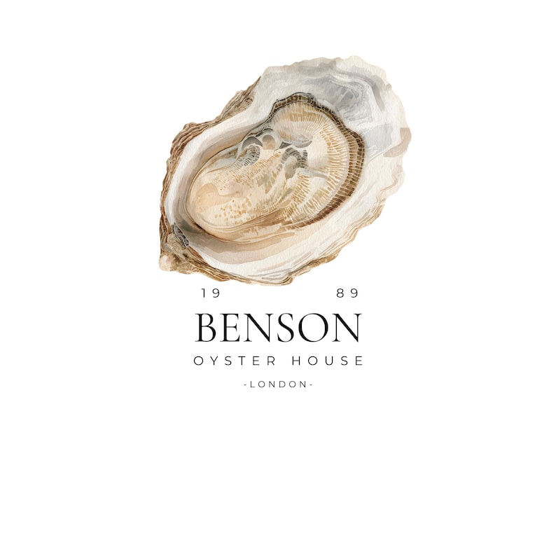 Seashells Clipart Illustrations Commercial Use Seaside Elements